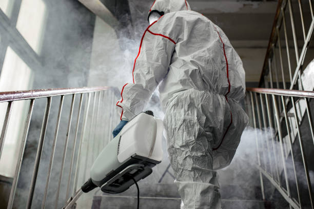 Why You Should Choose Our Mold Remediation Services in Quinlan, TX